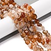 Natural Red Agate Beads Strands G-G146-A25-01-1