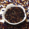 Transparent Colours Glass Seed Beads SEED-P006-02A-10-2