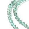 Natural Apatite Beads Strands G-F748-J01-01-4