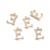 304 Stainless Steel Charms STAS-L263-04G-1