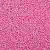 TOHO Round Seed Beads SEED-XTR11-0038-2