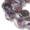 Natural Amethyst Beads Strands G-A309-A11-01-3
