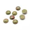 Natural Unakite Gemstone Cabochons G-T020-6mm-18-1