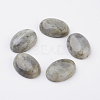Natural Labradorite Flat Back Cabochons G-G741-18x25mm-18-1