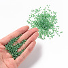12/0 Glass Seed Beads SEED-A006-2mm-107-4
