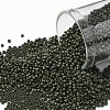 TOHO Round Seed Beads SEED-JPTR15-0617-1
