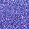 TOHO Round Seed Beads SEED-XTR15-0168-2