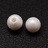 Shell Pearl Beads BSHE-L031-01-5mm-2