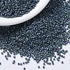 MIYUKI Delica Beads X-SEED-J020-DB1052-1