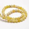 Frosted Natural Weathered Agate Beads Strands G-F367-8mm-11-3