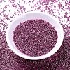 MIYUKI Delica Beads X-SEED-J020-DB1840-2