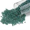 TOHO 11/0 Round Beads X-SEED-TR11-1833-1