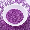MIYUKI Delica Beads X-SEED-J020-DB0422-2
