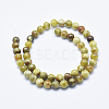 Natural Serpentine Jade Beads Strands G-P353-06-8mm-2
