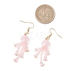 Glass Seed & Glass Beaded Dangle Earrings EJEW-MZ00687-5
