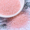MIYUKI Round Rocailles Beads X-SEED-G007-RR1923-1