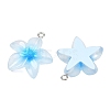 Transparent Resin Pendants RESI-P048-01P-3