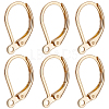 100Pcs 316L Surgical Stainless Steel Leverback Earring Findings STAS-BBC0010-61G-1