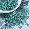 MIYUKI Round Rocailles Beads X-SEED-G007-RR0435-1