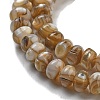 Natural Freshwater Shell Beads Strands X-BSHE-G038-05-4