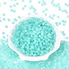 FGB Frosted Transparent Glass Seed Beads SEED-N013-03A-10-2