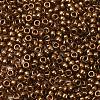 MIYUKI Round Rocailles Beads X-SEED-G009-RR0457L-2