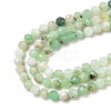 Natural Chalcedony Beads Strands G-G189-D21-02-4