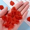 Transparent Acrylic Bead Caps PL551-C12-7