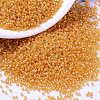 MIYUKI Delica Beads SEED-MY11-DB2045-1