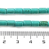 Synthetic Turquoise Beads Strands X-TURQ-G120-4x6mm-13-3