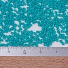 MIYUKI Delica Beads SEED-JP0008-DB0793-4