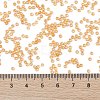 TOHO Round Seed Beads X-SEED-TR11-0950-4