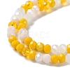 Glass Beads Strands EGLA-A034-M6mm-21-3