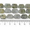 Natural Labradorite Beads Strands G-C098-A05-01-5