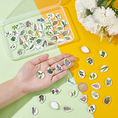 1Set Glass Cabochons GGLA-PH0001-65D-1