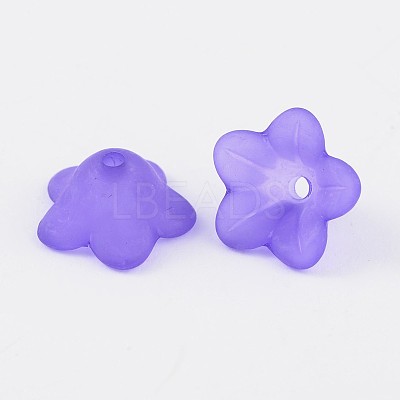 Transparent Acrylic Beads PL560-13-1