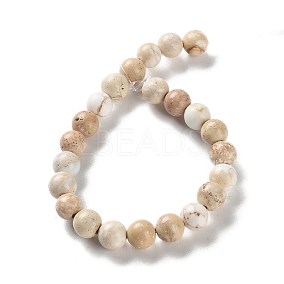 Dyed Natural Regalite/Imperial Jasper/Sea Sediment Jasper Beads Strands X-G-B124-C01-17-1