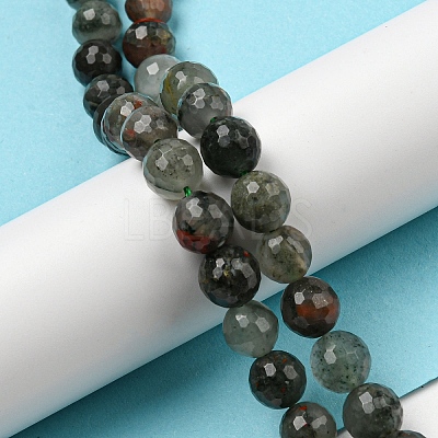 Natural Afican Bloodstone Beads Strands G-C079-B02-01-1