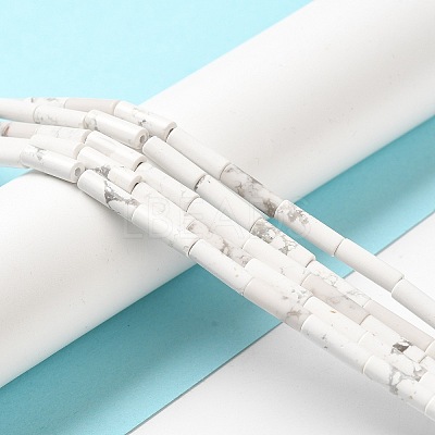 Synthetic Howlite Beads Strands X-G-K340-C06-01-1