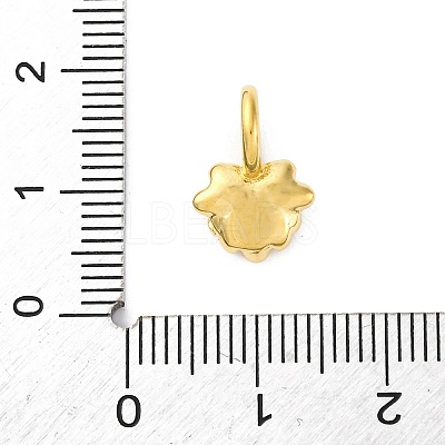 304 Stainless Steel Charms LS-STAS-U049-03A-02G-1