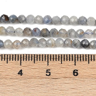 Natural Kyanite Beads Strands G-RM2025-A34-3mm-1