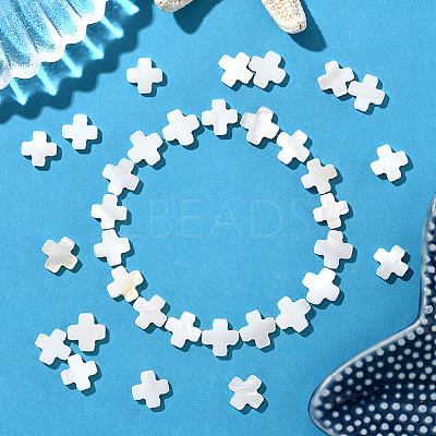 60Pcs Natural Freshwater Shell Beads Strands SSHEL-SC0001-39-1