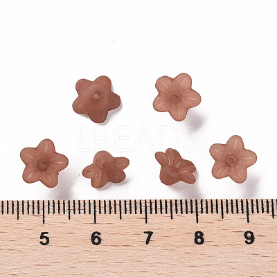 Transparent Acrylic Beads PL554-15-1