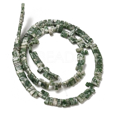 Natural Green Spot Jasper Beads Strands G-Z045-A02-01-1