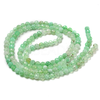 Natural Chrysoprase Beads Strands G-A097-A16-03-1