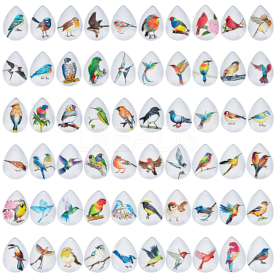 1Set Glass Cabochons GGLA-PH0001-65F-1