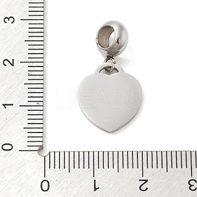 304 Stainless Steel European Dangle Charms OPDL-L013-38E-1