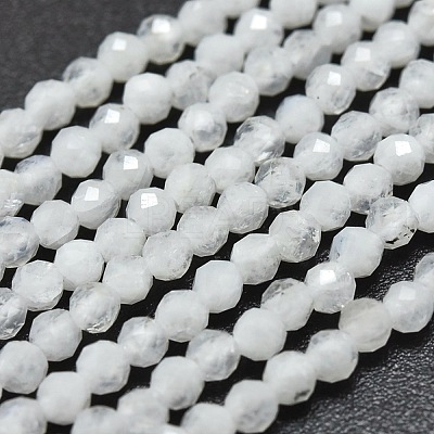 Natural Rainbow Moonstone Beads Strands G-O186-D02-1