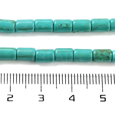 Synthetic Turquoise Beads Strands X-TURQ-G120-4x6mm-13-1