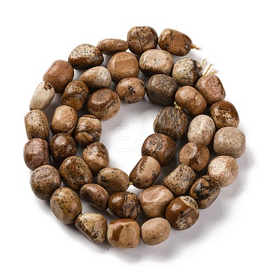 Natural Picture Jasper Beads Strands G-G146-A01-02-1